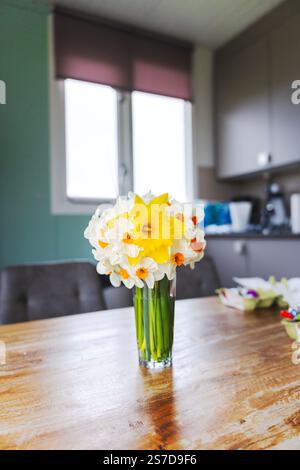 Daffodils on the Easter table 1 Stock Photo