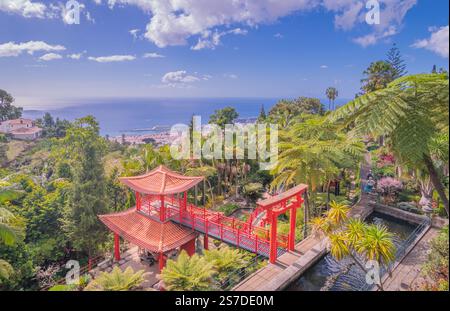 funchal-madeira-29-october-2024-tropical-garden-and-asian-monte