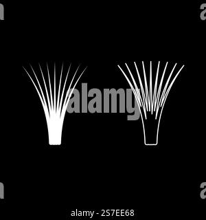 Edible grass lemongrass Cymbopogon citratus spices vegetable herbal plant set icon white color vector illustration image simple solid fill outline contour line thin flat style. Edible grass lemongrass Cymbopogon citratus spices vegetable herbal plant set icon white color vector illustration image solid fill outline contour line thin flat style Stock Vector