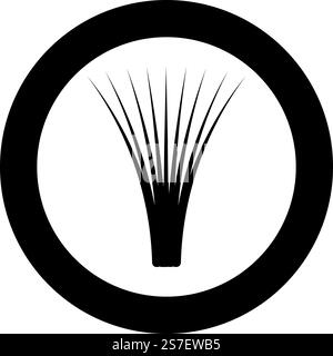 Edible grass lemongrass Cymbopogon citratus spices vegetable herbal plant icon in circle round black color vector illustration image solid outline style simple. Edible grass lemongrass Cymbopogon citratus spices vegetable herbal plant icon in circle round black color vector illustration image solid outline style Stock Vector