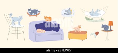 Fluffy cats, various poses cat. Different kittens sleep on sofa, resting in a hammock and chair. Pet cleaning, sitting on table or animals bed, vector set of kitten, pet pose funny illustration. Fluffy cats, various poses cat. Different kittens sleep on sofa, resting in a hammock and chair. Pet cleaning, sitting on table or animals bed, vector set Stock Vector