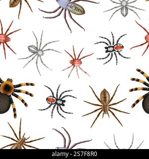 Spiders pattern. Realistic toxic spiders collection decent vector seamless background template of spider toxic pattern to halloween event illustration. Spiders pattern. Realistic toxic spiders collection decent vector seamless background template Stock Vector