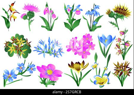 Flowering wildflowers and blooming flowers isolated set. Irises, lilies, snowdrops and other types of spring and summer plants. Bundle of floral elements. Vector illustration in hand drawn design Stock Vector