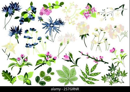 Flower and plants isolated set. Flowering garden and blooming wildflowers different types. Green leaves, beautiful herbs and other. Bundle of floral elements. Vector illustration in hand drawn design Stock Vector