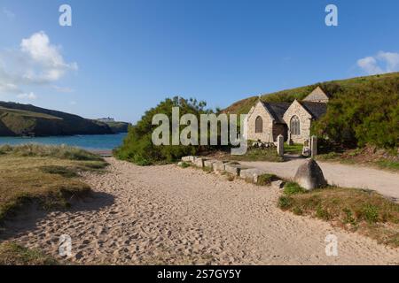 Tamarisk at Gunwalloe Church Cove, Cornwall Stock Photo