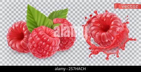 Raspberry. Sweet fruit. 3d realistic vector icon Stock Vector