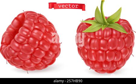 Red raspberry vectorized image. Fresh fruit. 3d realistic vector icon Stock Vector