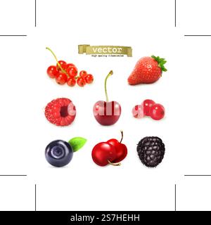 Sweet berries, vector illustration set of high quality Stock Vector