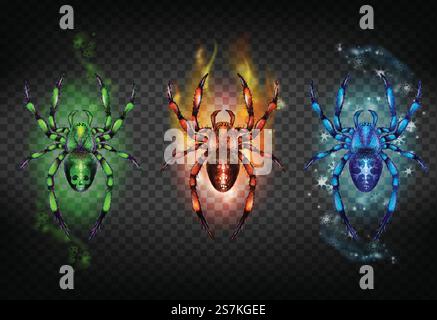 Green poisonous with skull on abdomen, red scorching covered flame and blue icy cold with snowflakes spiders realistic vector set isolated transparent background. Scary prints for clothing. Game icons. Toxic, igniting and freezing spiders vector set Stock Vector