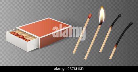 Matches set: burning match with fire, opened matchbox, burnt matchstick isolated on gray background. 3d rendering detailed vector illustration. Matches set: burning match with fire, opened matchbox, burnt matchstick isolated on gray Stock Vector