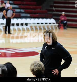 Washington State University women's basketball head coach Kamie Ethridge at a game at Santa Clara University. Stock Photo