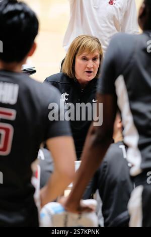 Washington State University women's basketball head coach Kamie Ethridge surrounded by players during a timeout; coaching, instructing, strategizing. Stock Photo