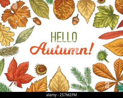 Autumn leaves. Hand drawn different colorful autumn foliage trees in circle, sketch fallen chestnut, maple leaf with acorn and hello autumn for promo poster or banner vector background.. Autumn leaves. Hand drawn different autumn foliage trees, sketch fallen leaf and hello autumn for promo poster or banner vector background. Stock Vector
