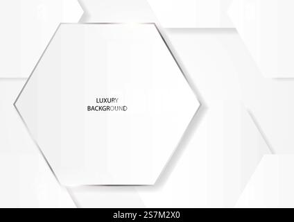 Abstract clean white hexagonal shapes with silver frame, EPS 10 vector background Stock Vector