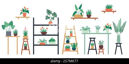 Houseplants standing on shelf, chair and table in ceramic pots. Home and office interior decoration with different green leaves and flowers of various size. Foliage vector illustration. Houseplants standing on shelf, chair and table in ceramic pots. Home and office interior decor with foliage Stock Vector