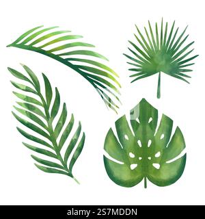 Watercolor tropical floral illustration set with green leaves for wedding stationary, greetings, wallpapers, fashion, backgrounds, textures, DIY, wrappers, postcards, logo, etc. Stock Vector