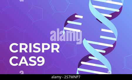 CRISPR CAS9. DNA gene editing tool, genes biotechnology and human genome engineering vector illustration. science medical concept. CRISPR CAS9. DNA gene editing tool, genes biotechnology and human genome engineering vector illustration Stock Vector