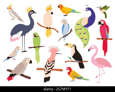 Flat parrots and tropical jungle birds flying and sitting. Macaw, parakeet, ara and colombia exotic parrot. Toucan and emu bird vector set. Illustration of parrot sitting on tree in paradise. Flat parrots and tropical jungle birds flying and sitting. Macaw, parakeet, ara and colombia exotic parrot. Toucan and emu bird vector set Stock Vector