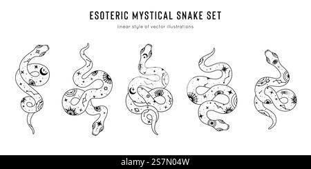 Vector snake set of mystical magic objects- moon, eyes, constellations, sun and stars. Spiritual occultism symbols, esoteric objects. Stock Vector