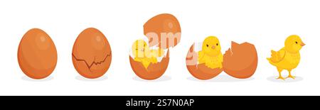Cartoon cute baby chicken hatch from egg stages. Cracked eggshell and newborn yellow chick. Easter farm bird character birth vector concept. Yellow baby character appearing from shell Stock Vector