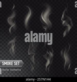 collection of different realistic high detailed smokes from hot food or drink isolated on transparent background. Set of high detailed smokes from hot food or drink isolated on transparent background Stock Vector