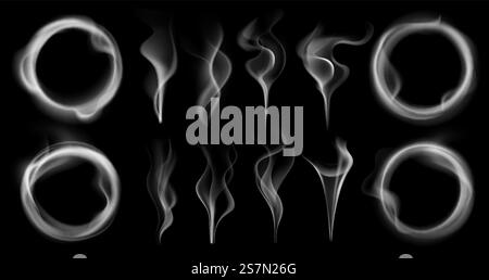 Steam smoke shapes. Smoking vapor streams, steaming vaping ring and vapor waves translucent. Hookah, cigarette or vape smoke fog motion. Realistic 3D effect isolated vector symbols set. Steam smoke shapes. Smoking vapor streams, steaming vaping ring and vapor waves translucent realistic 3D effect isolated vector set Stock Vector
