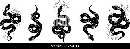 Vector snake set of mystical magic objects- moon, eyes, constellations, sun and stars. Spiritual occultism symbols, esoteric objects. Stock Vector