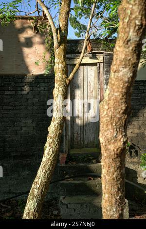 Closed old wooden door of an old building inside a forest. Stock Photo