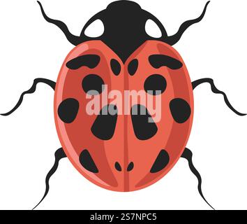 Coccinella septempunctata or seven-spot ladybird or ladybug, isolated beetle with dots on body, legs and colorful pattern. Bugs and insects of wilderness and nature. Vector in flat style illustration. Bug coccinella septempunctata seven-spot ladybird Stock Vector