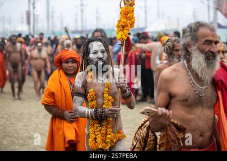 Nagha Sadhu procession on the second day of Maha Kumbh Mela 2025