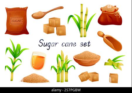 Sugar cane 3d realistic set. Bundle of bags, sugar cubes, granular sweetener on spoon or plate, sugarcane leaf plants, rum alcoholic liquid in glass and other isolated elements.Vector illustration. Sugar cane 3d realistic set. Vector illustration isolated elements Stock Vector