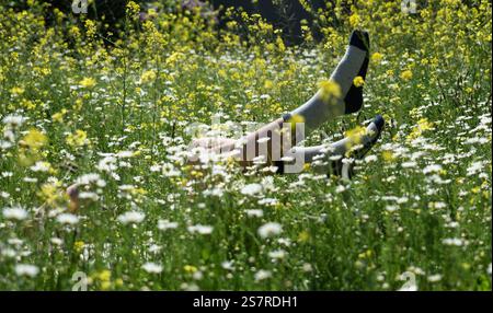 Woman wearing socks enjoys relaxing in a field of wildflowers with her feet up in the air Stock Photo