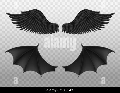 Realistic black wings. Pair of dark feathers raven and bat wings, crow bird parts, isolated demon elements, fly animals paired objects. Spiritual evil symbols vector 3d set on transparent background. Realistic black wings. Pair of dark feathers raven and bat wings, crow bird parts, isolated demon elements, fly animals paired objects. Spiritual evil symbols vector 3d set Stock Vector