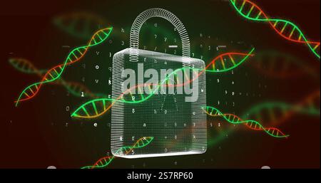 Image of dna strands, scientific data processing over padlock Stock Photo