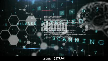 Image of warning text, human brains and scientific data processing Stock Photo