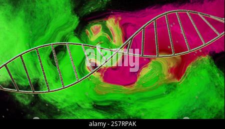 Image of dna strand over pink and green shapes moving Stock Photo