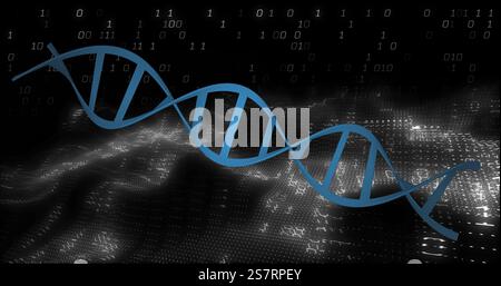 DNA strand and binary coding, scientific data processing image Stock Photo