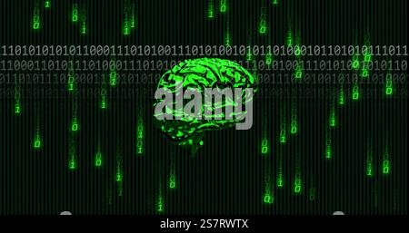 Image of binary coding over spinning brain Stock Photo