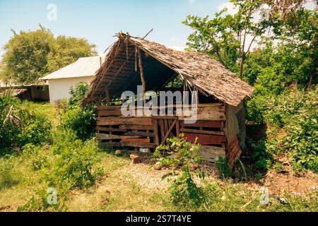 View of houses made from Coral Rocks at a Shirazi Tribe homestead in Funzi Island, Diani Beach, Kenya Stock Photo