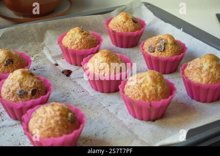 Baking tray with parchment paper with freshly baked muffins with chocolate chips in pink silicone molds ready to cool Stock Photo