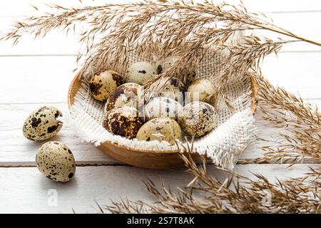 Pile of Quail eggs in natural color wood bowl indoors on white wooden board background. Dry reed plant branches for decoration. Side view. Stock Photo