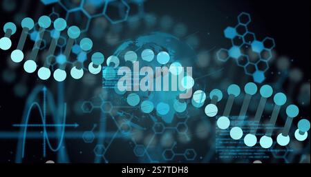Image of digital data processing overglobe and dna strand spinning Stock Photo