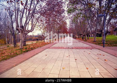 Path in the park in autumn. Alley along the Thames river near New Church of the Arrabal in the city of Salamanca, Spain Stock Photo