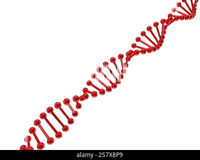 DNA genomes structure with molecule background, 3d rendering. Computer ...