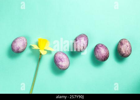 Colorful painted eggs and yellow narcissus flower on light green background. Easter concept. Top view Stock Photo