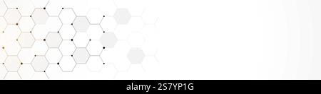 Panoramic view of abstract geometric background with hexagons shape pattern for banner or website header template. Vector illustration Stock Vector
