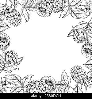 Raspberry vector black and white frame hand drawn with ink. Stock Vector