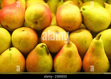 Fresh pears with vibrant yellow and red hues are rich in fiber and vitamins. Perfect fresh, in salads, or desserts, they’re a healthy and delicious. Stock Photo
