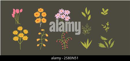 Colorful botanical illustration featuring various flowers and leaves. Stock Vector
