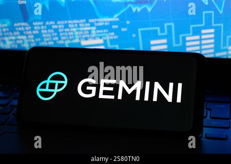 Canada. 20th Jan, 2025. In this photo illustration, the Gemini Trust logo is seen displayed on a smartphone screen. Credit: SOPA Images Limited/Alamy Live News Stock Photo